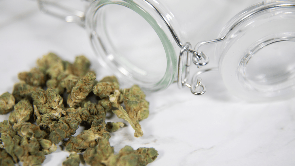 The Newest Countries to Legalize Cannabis as of August 2024