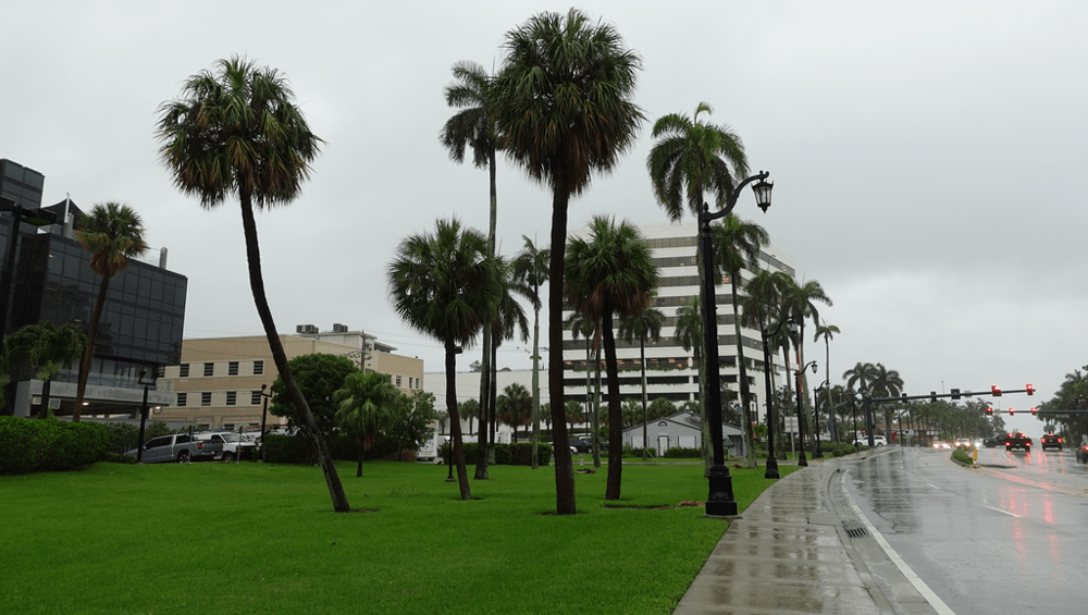 New Legislation for Medical Marijuana in Florida: 2021 Updates